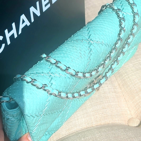 Chanel Python Classic Flap Bag - Picture 3 of 12